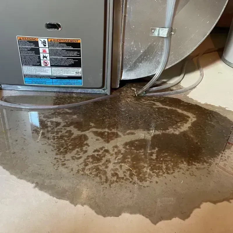 Appliance Leak Cleanup in Charleston, SC